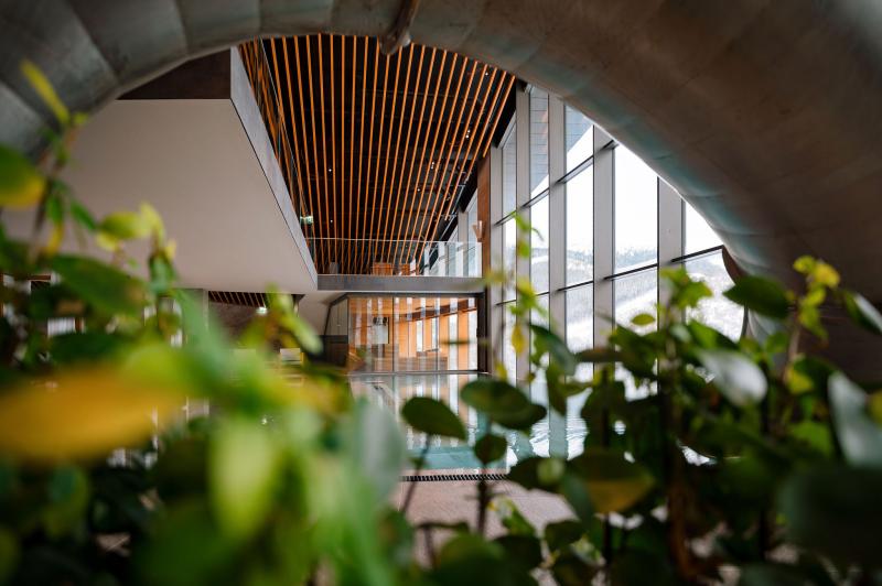 DAMIAN JASNA - G - Wellness