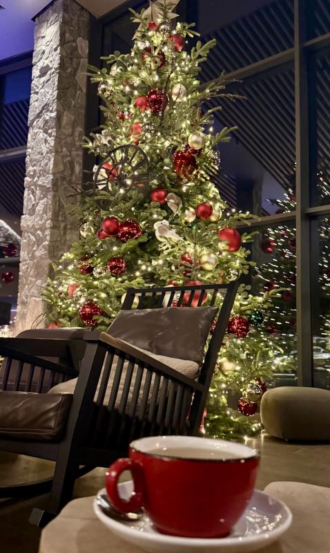 DAMIAN JASNA - G - Hotelové akcie