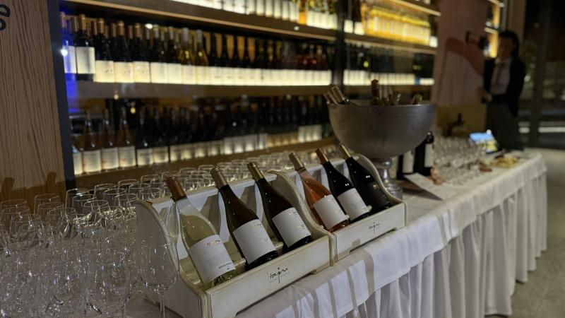 DAMIAN JASNA - G - Hotelové akcie