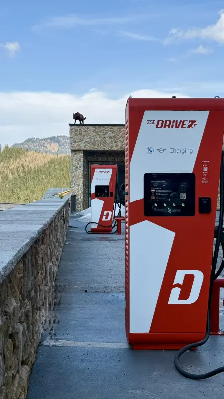 DAMIAN JASNA - O rezorte článok